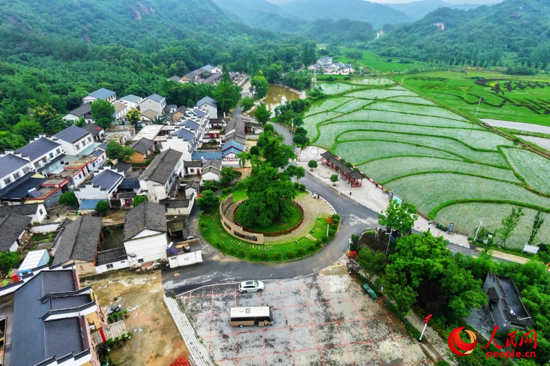 活动归档 - 狗子28xinnuo
